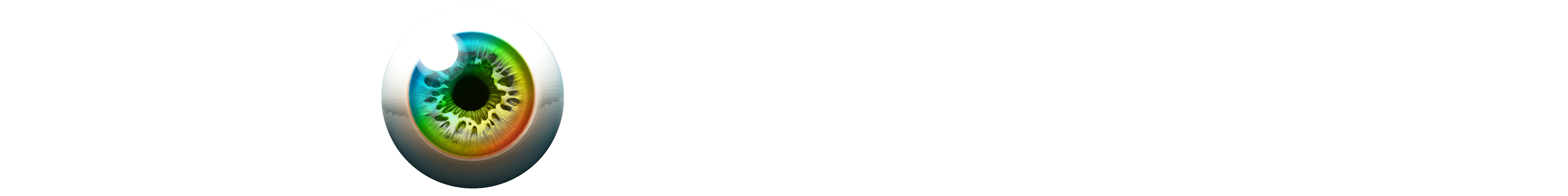 Vision Agency Logo